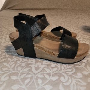 Pierre Dumas wedges